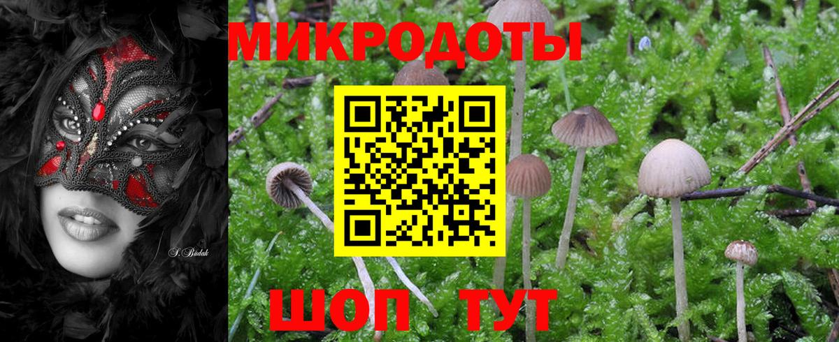 Псилоцибиновые грибы Magic Shrooms Елец