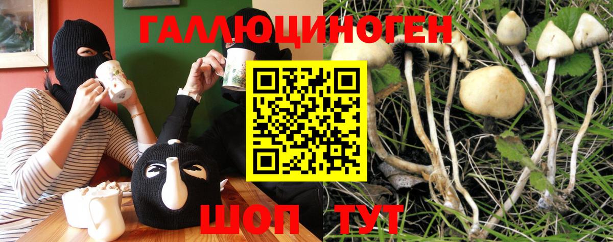 Галлюциногенные грибы MAGIC MUSHROOMS  Вход с VPN  Галлюциногенные грибы GOLDEN TEACHER  где найти   Елец 